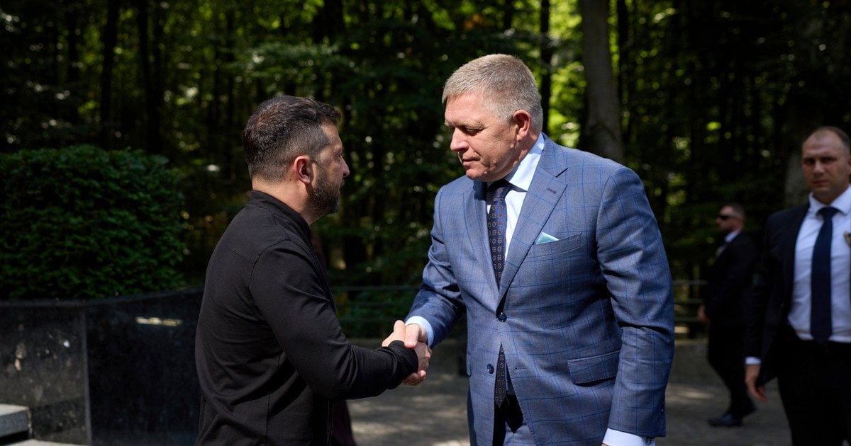 Зеленський і Фіцо